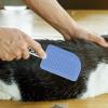 Portable Dog Hair Remover & Pet Hair Scraper view 3