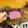 Dogs Undercoat Brush - Dog Hair Removal Tool view 3