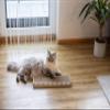 Kerbl Pet Flat Cat Scratching Board view 3