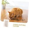 IMIKEYA 10-Pack Cat Mint Tea Bags view 3