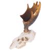 HEMOTON 4-Piece Resin Deer Skull Reptile Hide Decor view 4
