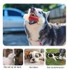Dog Chew Bone, Bacon-Flavored Dog Chew Toy | Bacon-Flavored Teething Toy view 4