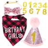 HAPINARY Pet Cat Birthday Hat view 1