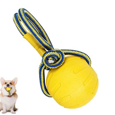 Jollyball Dog Ball with Handle for Small to Medium Dogs