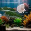 Betta Fish Leaf Hammock, Decorative Underwater Spawning Perch view 3