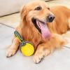 Kustimantu Dog Jump Ball, Jollyball for Dogs view 2