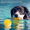 Jollyball for Dogs - Interactive Chew Training Ball view 2
