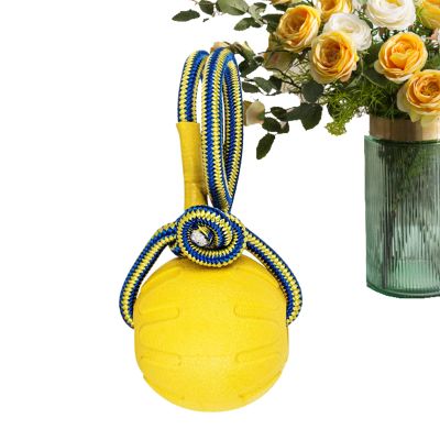 Durable Dog Chew Ball with Handle