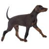 Lightweight Pet Support Harness, Adjustable Dog Lifting Harness view 2