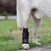 Lightweight Pet Support Harness, Adjustable Dog Lifting Harness view 3