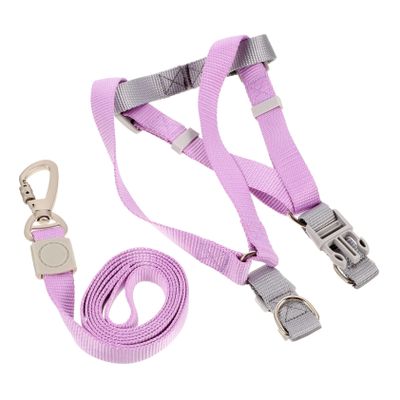 BESTonZON Escape-Proof Dog Harness and Leash Set