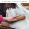 Wooden Coat Grooming Brush view 2