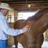 Wooden Coat Grooming Brush view 3
