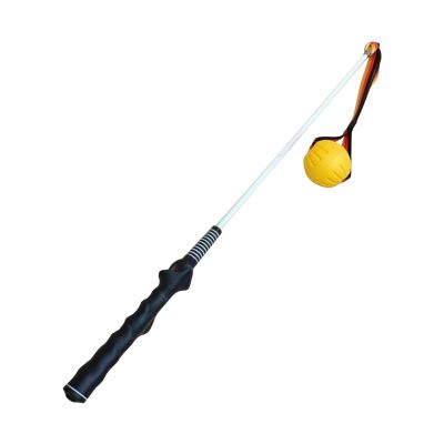 Heavy-Duty Interactive Flirt Pole for Dogs, 80 x 4 x 4 cm