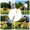 Heavy-Duty Interactive Flirt Pole for Dogs, 80 x 4 x 4 cm view 3