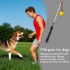 Heavy-Duty Interactive Flirt Pole for Dogs, 80 x 4 x 4 cm view 4