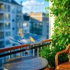 Garden Bird Bath and Water Dispenser view 3