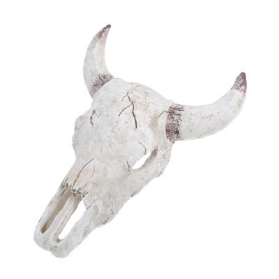 Bull Skull Terrarium Decoration, Synthetic Resin Hideout for Fish