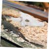 Bull Skull Terrarium Decoration, Synthetic Resin Hideout for Fish view 4