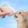 Puppy Bottle - Squeeze Liquid Bottle 150ml view 2
