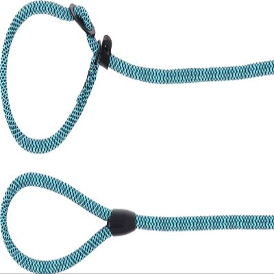 Adjustable Anti-Pull Dog Leash with Safety Stop - 1.7m x 10mm - Flamingo Eros Blue