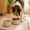 Flamingo Large Ceramic Dog Bowl, 1.5 L, Dishwasher-Safe, Beige view 2