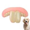 Funny Denture Toy for Dogs, Durable Silicone Chew and Costume Accessory view 1