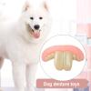 Funny Denture Toy for Dogs, Durable Silicone Chew and Costume Accessory view 2