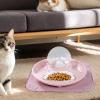 Multifunctional Cat Feeder with Automatic Water Refill view 3