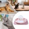 Multifunctional Cat Feeder with Automatic Water Refill view 4