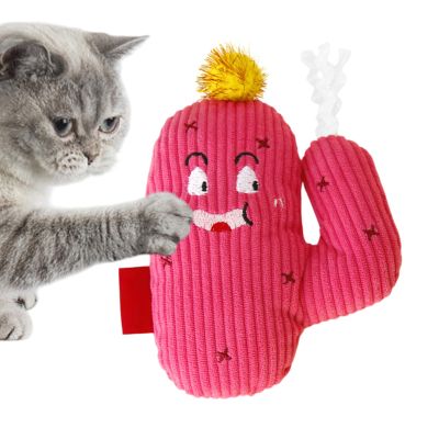 Catnip Cat Toy