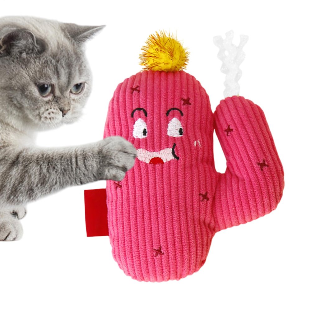 Catnip Cat Toy