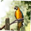SEWOART 4-Piece Wooden Parrot Perch Set with Stable Base view 4