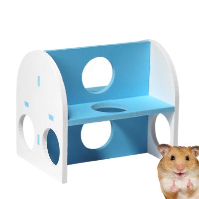 Hamster Activity Maze