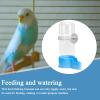 Automatic Bird Water Dispenser, Large-Capacity Parrot Waterer view 4