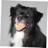 Toddmomy Interactive Squeaky Toy for Small Dogs view 4