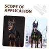 VERDANVERSE Dog Ear Support Set view 3