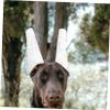 VERDANVERSE Dog Ear Support Set view 4
