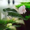 Fbinys Betta Leaf Hammock - Set of 4 view 4