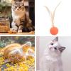 Cat Ball Toy - Plush Material, Feather Toy, Kitten Ball view 4