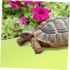 GRIRIW Reptile Terrarium Carpet, EVA Substrate Mat view 4