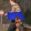 Dog Bite Training Arm Guard view 3