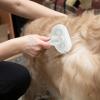 Cat Spray Brush and Comb for Pets view 2