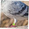 100 Aluminum Pigeon Leg Bands for Identification view 4