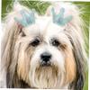 Gatuida 10-Piece Elastic Hair Ties for Pets view 3
