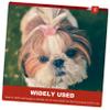 Gatuida 10-Piece Elastic Hair Ties for Pets view 4