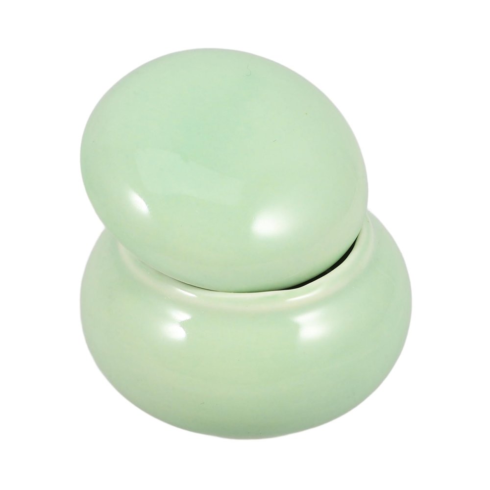 TOYANDONA Ceramic Pet Urn for Small Dogs and Cats, Portable Memorial Ashes Keepsake Urn
