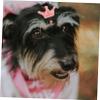 PartyKindom 10-Piece Dog Hair Bands with Crown Design view 3