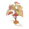 ibasenice 3-Piece Artificial Aquarium Plants for Aquariums and Terrariums view 2