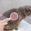 Pet Grooming Brush for Dogs view 2